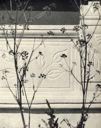 Фрагмент ограждения галереи. Лазо. Иллюстрация из книги «Каменный цветок Молдавии». Гоберман Д.Н. 1970