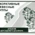 Декоративные древесные группы. Альбом для садового дизайнера. Мочалова Т.С. (ред.). 1997
